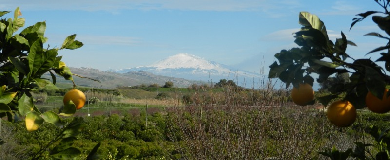 L'Etna sullo sfondo, a Coda di Volpe